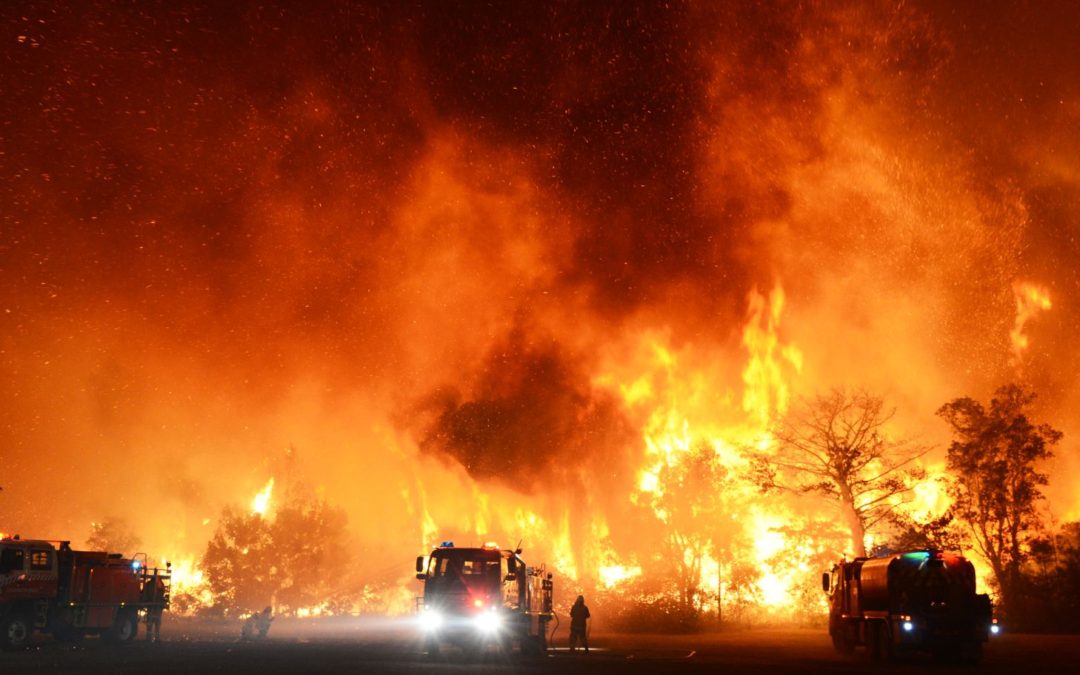 Non-Leadership in a Time of Crisis